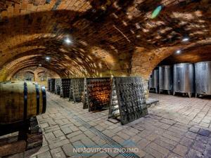 Prodej obchodního prostoru, Znojmo - Popice, 1700 m2