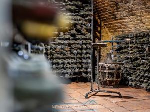 Prodej obchodního prostoru, Znojmo - Popice, 1700 m2