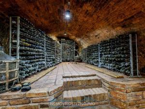 Prodej obchodního prostoru, Znojmo - Popice, 1700 m2