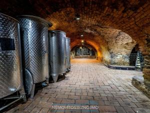 Prodej obchodního prostoru, Znojmo - Popice, 1700 m2