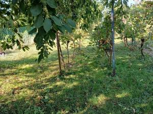 Prodej rodinného domu, Újezd u Brna, Lidická, 95 m2