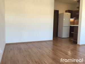 Pronájem bytu 1+kk, Brno, Anenská, 38 m2
