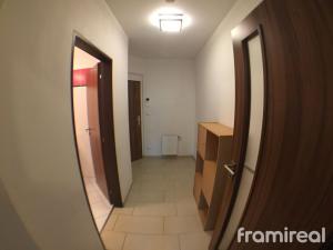 Pronájem bytu 1+kk, Brno, Anenská, 38 m2