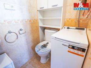 Pronájem bytu 1+1, Bělá pod Bezdězem, Paninodvorská, 40 m2