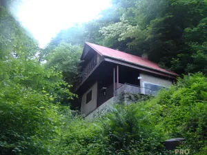 Prodej chaty, Zbečno - Újezd nad Zbečnem, 68 m2