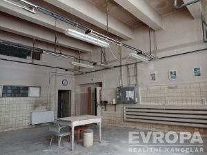 Pronájem výrobních prostor, Liberec - Liberec III-Jeřáb, Hanychovská, 180 m2