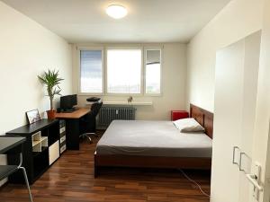 Pronájem bytu 1+kk, Brno, Halasovo náměstí, 24 m2