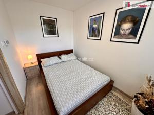 Prodej bytu 2+1, Luhačovice, Josefa Černíka, 44 m2