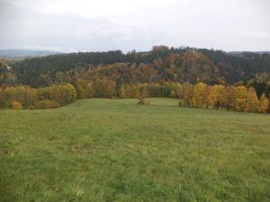 Prodej pole, Vlastiboř, 23043 m2