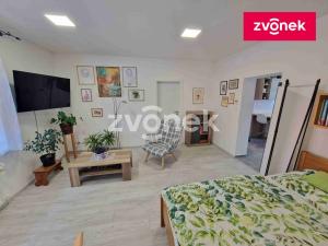 Prodej rodinného domu, Uherské Hradiště, 273 m2