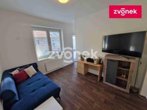 Prodej rodinného domu, Uherské Hradiště, 273 m2