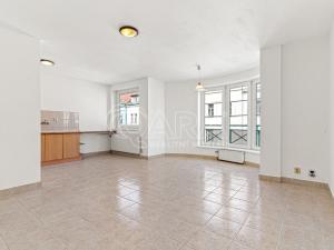 Prodej bytu 4+kk, Praha - Žižkov, V kapslovně, 101 m2