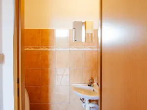 Prodej bytu 3+1, Český Dub, Mírové sídliště, 69 m2