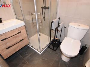 Pronájem bytu 1+1, Olomouc - Hodolany, Hodolanská, 36 m2
