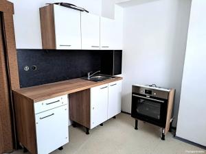 Pronájem bytu 1+1, Pardubice, Jana Palacha, 39 m2