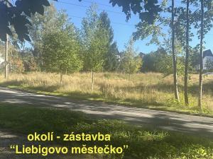 Prodej bytu 3+1, Liberec - Liberec VI-Rochlice, Červeného, 71 m2