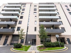 Prodej bytu 2+kk, Praha - Žižkov, U Viktorie, 49 m2