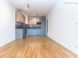 Prodej bytu 2+kk, Praha - Žižkov, U Viktorie, 49 m2
