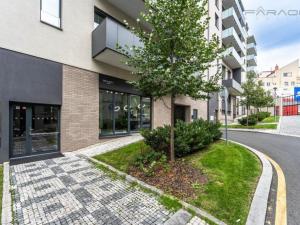 Prodej bytu 2+kk, Praha - Žižkov, U Viktorie, 49 m2