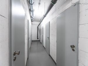 Prodej bytu 2+kk, Praha - Žižkov, U Viktorie, 49 m2