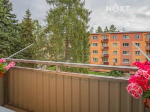 Prodej bytu 3+1, Šumperk, 8. května, 73 m2