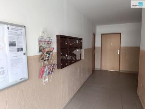 Pronájem bytu 2+1, Stráž pod Ralskem, Energetiků, 60 m2