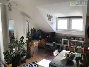 Pronájem bytu 1+kk, Benešov, 40 m2