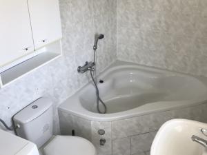 Pronájem bytu 1+kk, Benešov, 40 m2