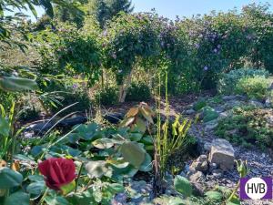 Prodej zahrady, Blovice, 544 m2