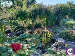 Prodej zahrady, Blovice, 544 m2