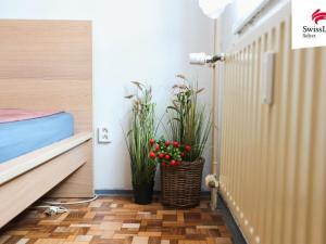 Prodej bytu 3+1, Nové Hrady, Zahradní čtvrť, 71 m2