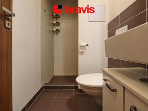 Pronájem bytu 1+kk, Brno, Štěpánská, 34 m2