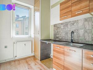 Prodej bytu 1+1, Český Těšín, Čapkova, 38 m2