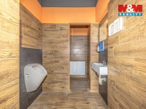 Prodej činžovního domu, Tanvald - Šumburk nad Desnou, Krkonošská, 220 m2