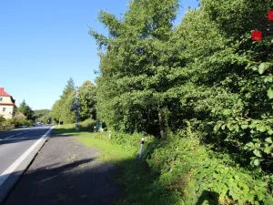 Prodej chalupy, Jiřetín pod Jedlovou - Lesné, 170 m2