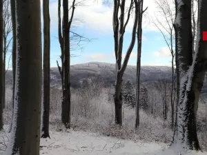 Prodej chalupy, Jiřetín pod Jedlovou - Lesné, 170 m2