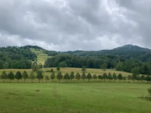 Prodej chalupy, Jiřetín pod Jedlovou - Lesné, 170 m2