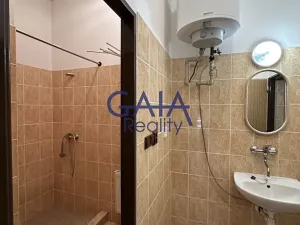 Pronájem obchodního prostoru, Louka, 597 m2