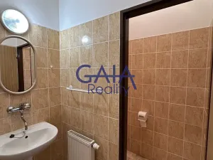 Pronájem obchodního prostoru, Louka, 597 m2