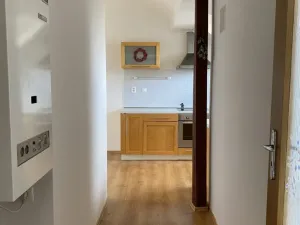 Pronájem bytu 2+kk, Opava - Předměstí, náměstí Slezského odboje, 54 m2