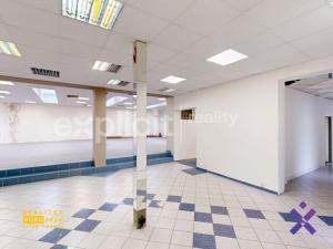 Pronájem obchodního prostoru, Staré Město, Brněnská, 387 m2