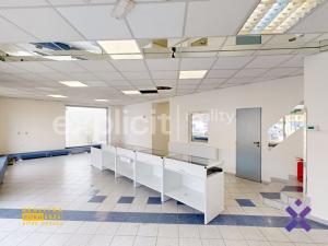 Pronájem obchodního prostoru, Staré Město, Brněnská, 387 m2