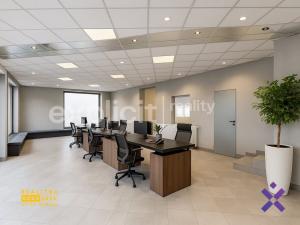 Pronájem obchodního prostoru, Staré Město, Brněnská, 387 m2