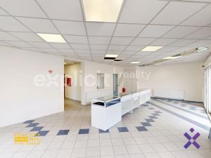 Pronájem obchodního prostoru, Staré Město, Brněnská, 387 m2