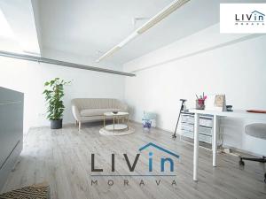 Pronájem kanceláře, Olomouc, Švédská, 29 m2
