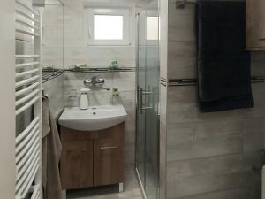 Pronájem bytu 1+kk, Brno, Brigádnická, 20 m2