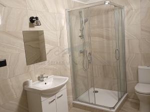 Prodej bytu 1+kk, Broumov, U Horní brány, 62 m2