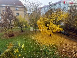 Pronájem bytu 2+kk, Ústí nad Labem, Palachova, 49 m2