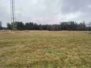 Dražba louky, Ždírec nad Doubravou, 3034 m2