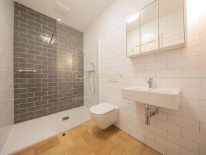 Pronájem bytu 1+1, Olomouc, Šemberova, 30 m2